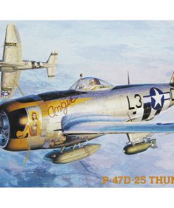 Hasegawa 1:48 Republic P-470-25 Thunderbolt - USAAF	HAJT40